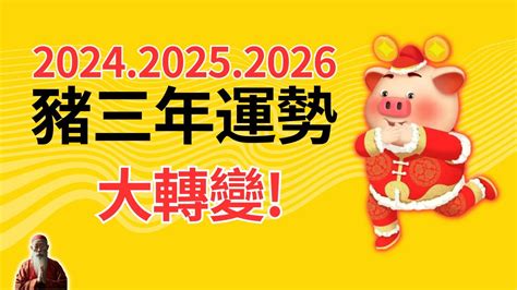 屬豬五行顏色|【豬 幸運色】屬豬2024年走大運！最旺幸運色、禁忌。